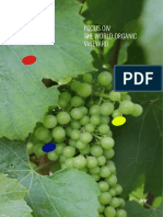 En Focus The World Organic Vineyard