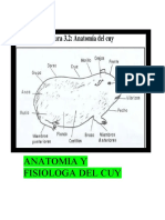 Anatomia Y Fisiologa Del Cuy