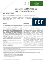 The EMBO Journal - 2020 - Lukassen - SARS CoV 2 Receptor ACE2 and TMPRSS2 Are Primarily Expressed in Bronchial Transient