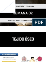 Semana 02