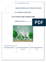 Estrategias y tecnologías alternativas para el desarrollo regional