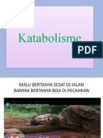 KATABOLISME