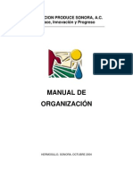 MANUALDEORGANIZACIONfundacionproducesonoraversiónj