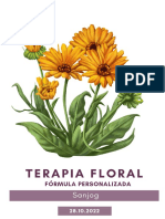 Terapia floral personalizada con Papaya, Tocote, Lirio del Caballero y Ortiga