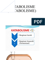 Metabolisme Sel Katabolisme