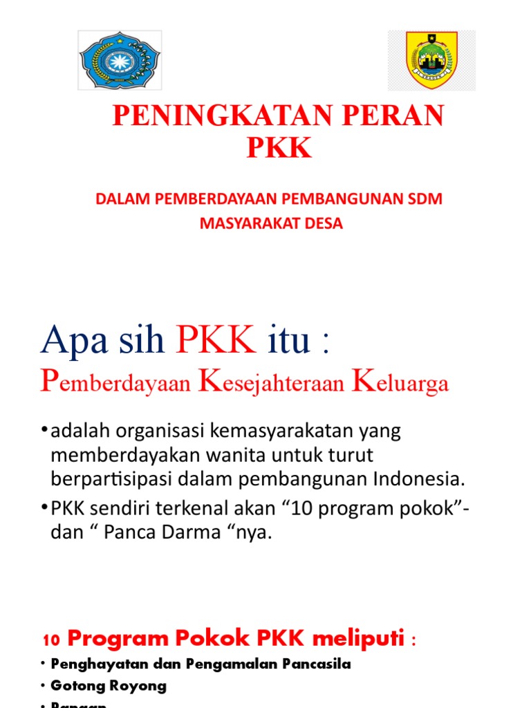 Peran Penting PKK dalam Membawa Cahaya HAM ke Masyarakat Desa