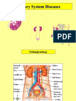 Pathophys Urinary