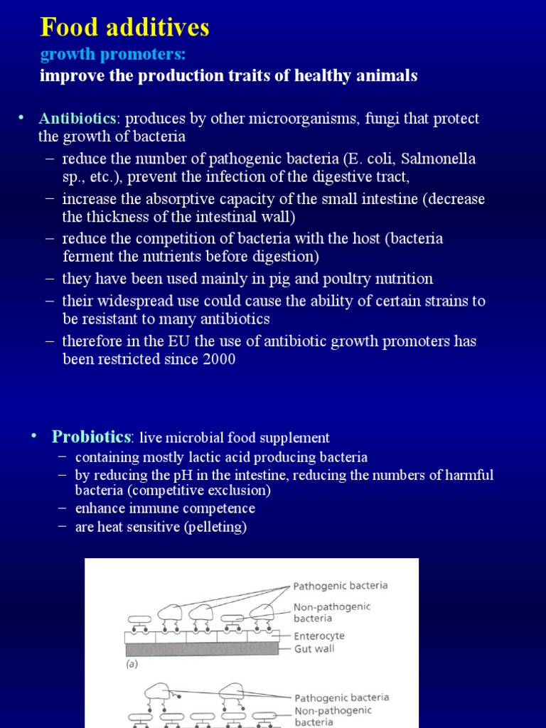 Feed Additives PDF Bacteria Probiotic