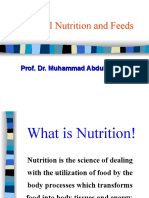 Animal Nutrition and Feeds Guide