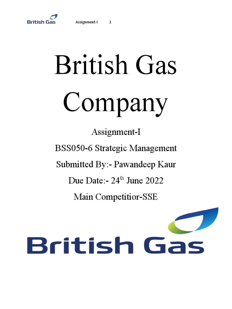 British Gas Company PDF Natural Gas Energy Development