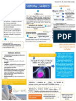 P2 5mapalinfaticossm