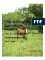 RECRÍA. Concepto, Importancia y Objetivos Algunas Consideraciones. Recría de La Producción Propia Crecimiento Compensatorio Recría A Corral