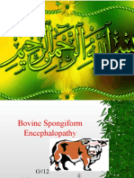 Bovine Spongiform Encephalopathy