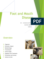 Foot Mouth Disease