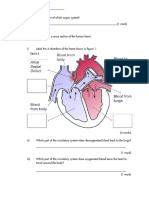 4.2.2.2 GCSE Biology AQA OCR EDEXCEL. Heart and Blood Vessels Questions Extracted