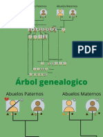 Árbol Genealogico