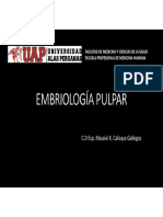 Embriología Pulpar y Anatomía Dental