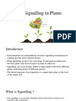 Cell Signalling in Plants