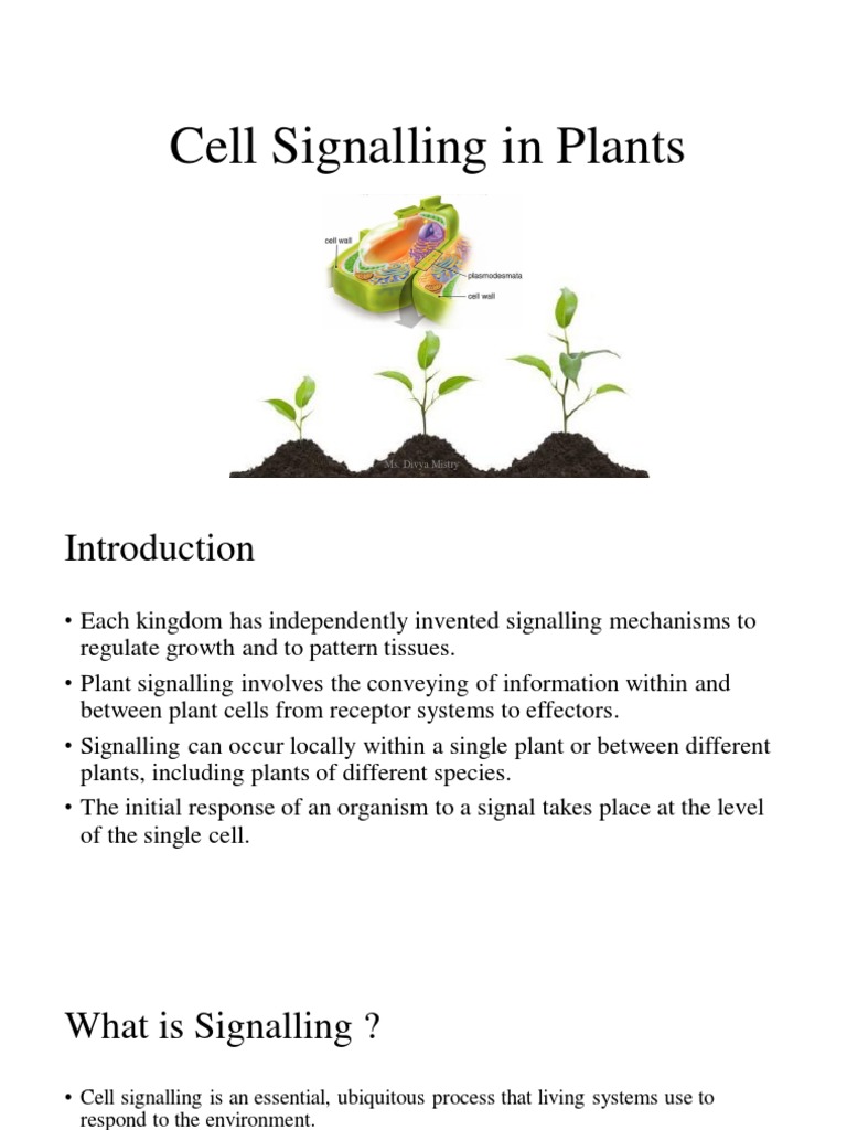 Cell Signalling in Plants | PDF | Cell Signaling | Signal Transduction