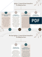 Principios Constitucionales Tributarios