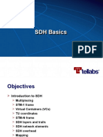 SDH Basics