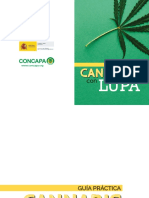 Cannabis Con Lupa