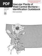 Ken Matsu  04 Bibliography PDF | PDF | Spruce | Pinophyta