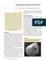 Scanning Electron Microscopic Evaluation of Tooth Root Apices in The Dog - Hernandez, 2014