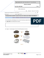 Teste 1 Minerais PDF