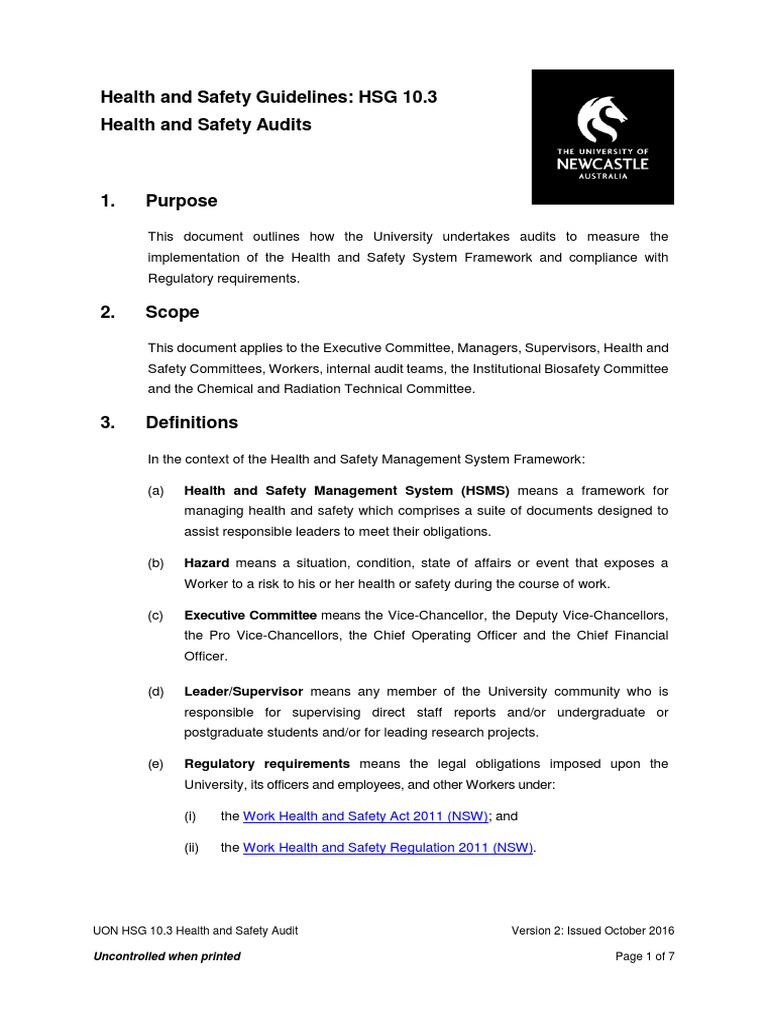 UON Health and Safety Audit Guidelines | PDF | Occupational Safety And ...
