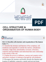 Cell Structure & Organization