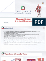 7.3 Muscular System