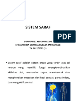 Slide Materi IV Sistem Saraf
