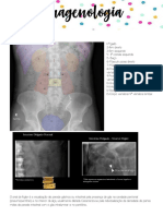 Imagens abdominais e torácicas