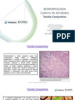 Caderno Tecido Conjuntivo