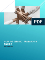 Manual o Guía de Trabajo