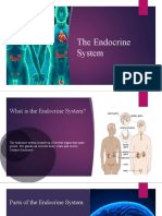 Endocrine