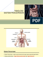 Anfis Sistem Pencernaan