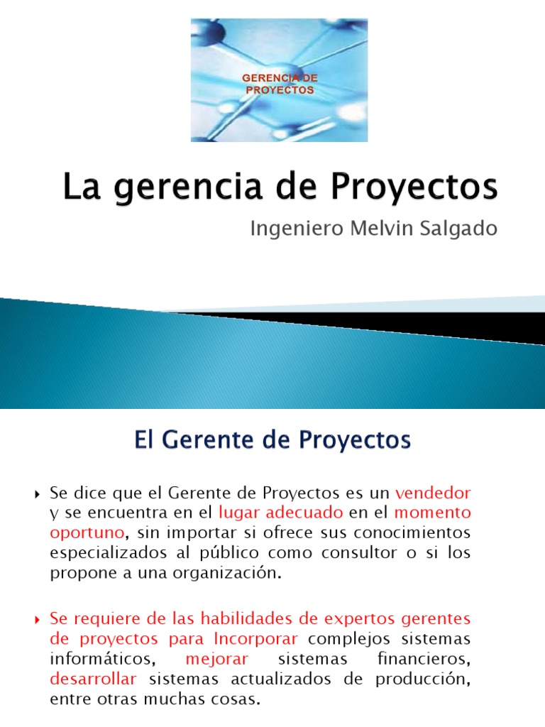 La Gerencia de Proyectos 1 | PDF | Liderazgo | Aprendizaje