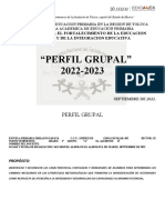 Formato Actualizado Perfil Grupal 2022