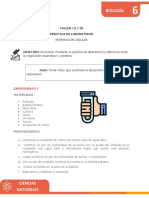 TAREA - TR1-LC19-BIO6 - Respiración Celular Aerobia