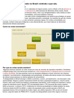 Cotas Raciais No Brasil