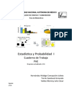 PAE Estadistica1