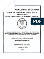 Universidad Nacional de Uca Yali: Facultad de Ciencias Forestales Y Ambientales