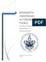 Seminario Aminas