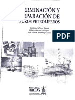 Libro de Terminacion Y Terminación de Pozoz Petroliferos