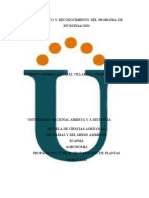 Diagnostico y Reconocimiento Del Problema de Investigación Rodrigo Carvajal