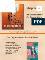 The Environment of The Organizations