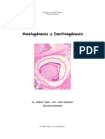 Amelogénesis y Dentinogénesis - Versión Preliminar