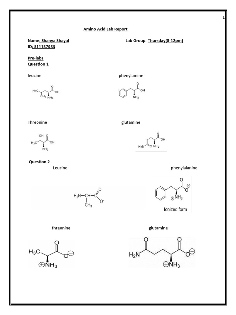 Amino Acid Lab Report PDF Chromatography Phase (Matter)